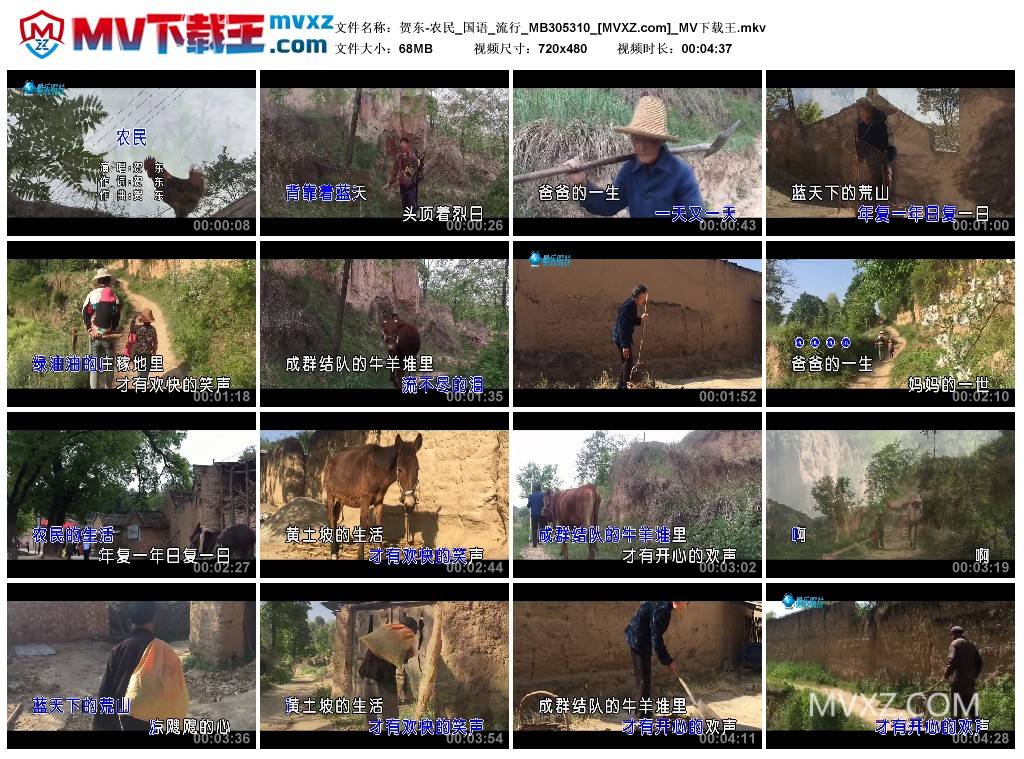 贺东-农民_国语_流行_MB305310